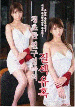 与凤行海报